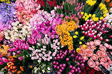 整条街的售货机都归我 轻松休闲放置新游试玩已上线